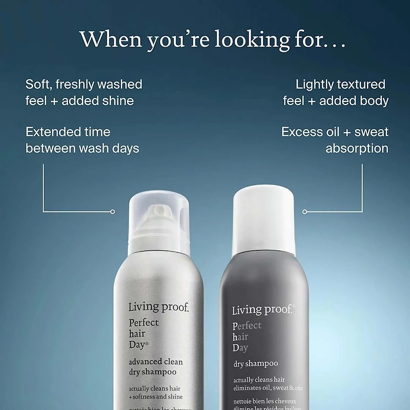 Perfect Hair Day | Holiday Set 2025 | Dry Clean — Instant Freshness & Lift