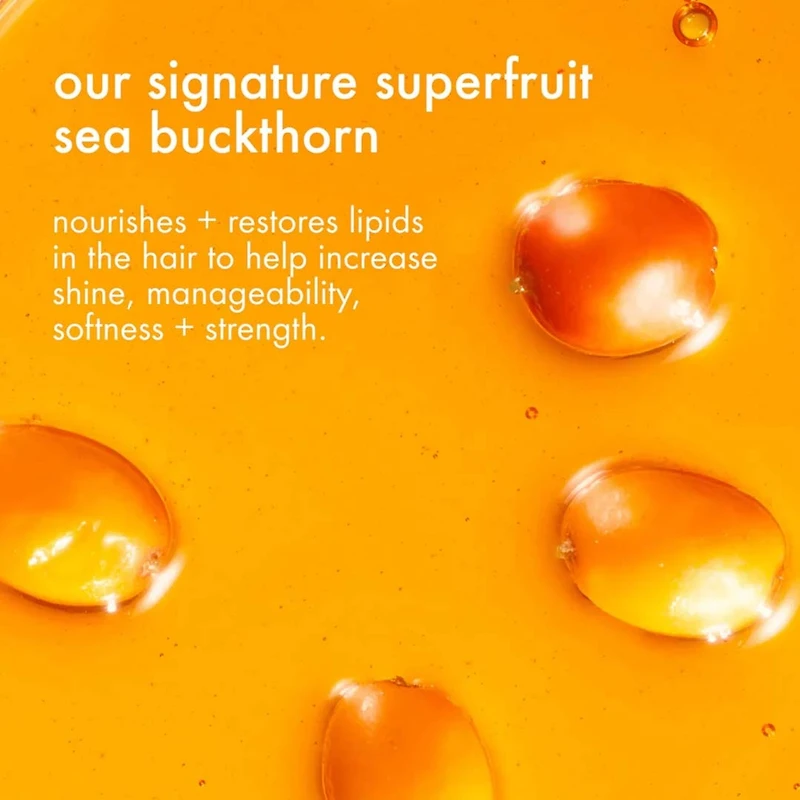 Signature | Coffret Fêtes 2025 — Nutrition, Brillance & Fraîcheur