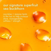 Signature | Coffret Fêtes 2025 — Nutrition, Brillance & Fraîcheur