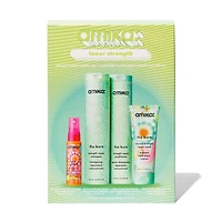 Inner Strength | Coffret Fêtes 2025 — Répare, Renforce & Protège la Fibre