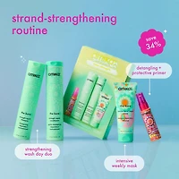 Inner Strength | Coffret Fêtes 2025 — Répare, Renforce & Protège la Fibre