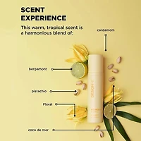Ornements Bounce.me  | Gel Spray Boucles | Coffret Fêtes 2025 — Définit, Contrôle & Fini Souple
