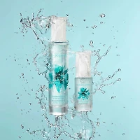 Moroccanoil | Ornement Brume du Maroc — Sillage Envoûtant & Légèreté