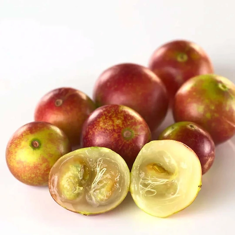 L’Anza | Healing Style Taffy — Pliable Piecey Definition