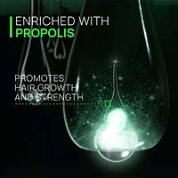 René Furterer | Triphasic — Holiday Gift Set 2025 — Density, Strength & Revitalized Scalp