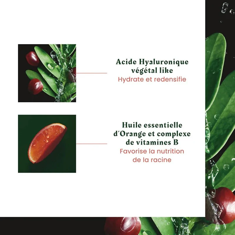 René Furterer | Tonucia — Holiday Gift Set 2025 — Plumping Youth & Radiance