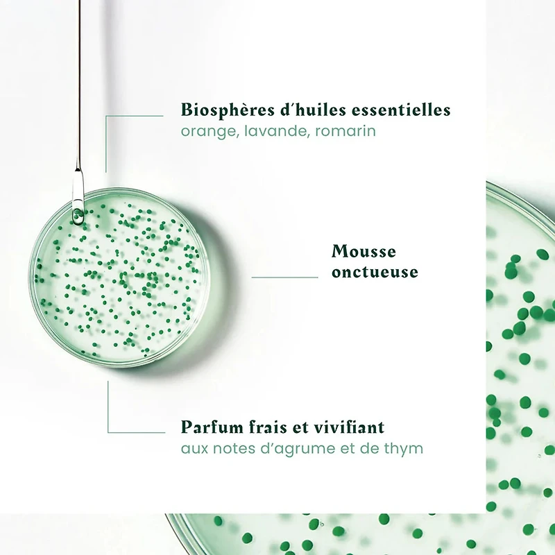 René Furterer | Forticea — Coffret Fêtes 2025 — Énergie, Force & Vigueur