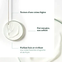 René Furterer | Forticea — Coffret Fêtes 2025 — Énergie, Force & Vigueur