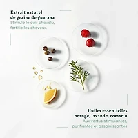 René Furterer | Forticea — Holiday Gift Set 2025 — Energy, Strength & Vitality