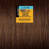 Lumishine | Lumi10 — Coloration 10 Minutes 74ml/2.5oz – professionnelle à temps de pose rapide