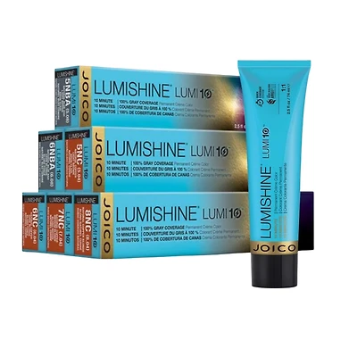 Lumishine | Lumi10 10-Minute Permanent Hair Color – Express Gray Coverage