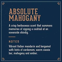 Absolute Mahogany | Fragrance Spritzer – Rich Woody Scent by 18.21 Man Made