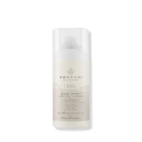 Shine Spray - Spray Brillance Léger pour Cheveux Lumineux