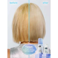 TripleBright | Purple Shampoo - Neutralizes Brass and Brightens Blonde, Highlighted, Gray
