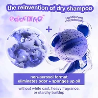 AirWash | Dry Shampoo – Lightweight waterless root refresher (118ml/4oz)