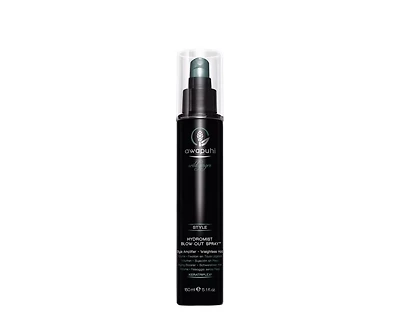 AWAPUHI WILD GINGER - ***STYLE Hydromist Blow-Out Spray 150ml (5.1 oz)