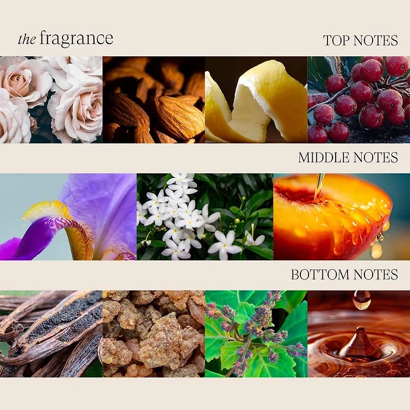 Keratin Healing Oil Phyto-IV Repairing Complex | Laque de Finition - Fixation Flexible et Brillance