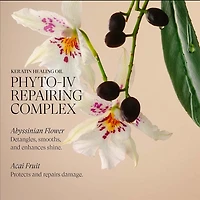 Keratin Healing Oil Phyto-IV Repairing Complex | Laque de Finition - Fixation Flexible et Brillance
