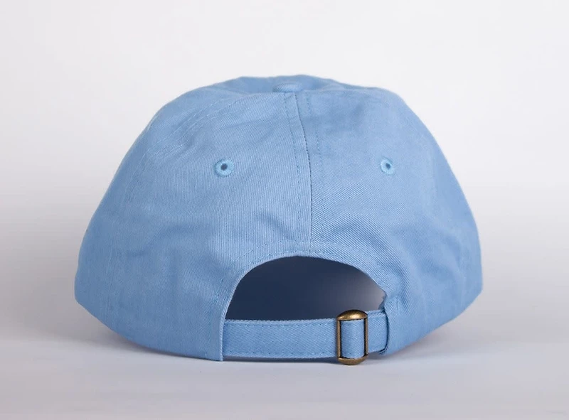 WLKN WLKN : Colored Dad Hat