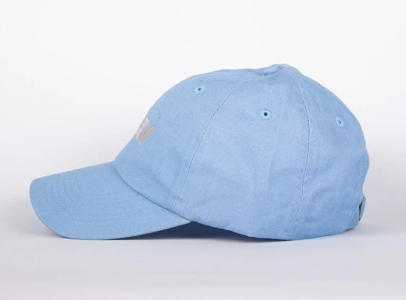 WLKN WLKN : Colored Dad Hat