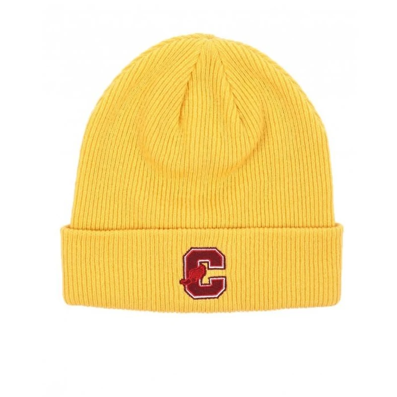 Champion Champion : Chunky Beanie With Cuff
