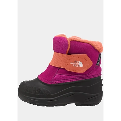 NORTH FACE  Alpenglow II Toddler NF0A3FYO9X0
