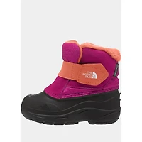 NORTH FACE  Alpenglow II Toddler NF0A3FYO9X0
