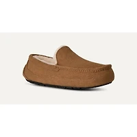 UGG 1101110 Ascot CHE