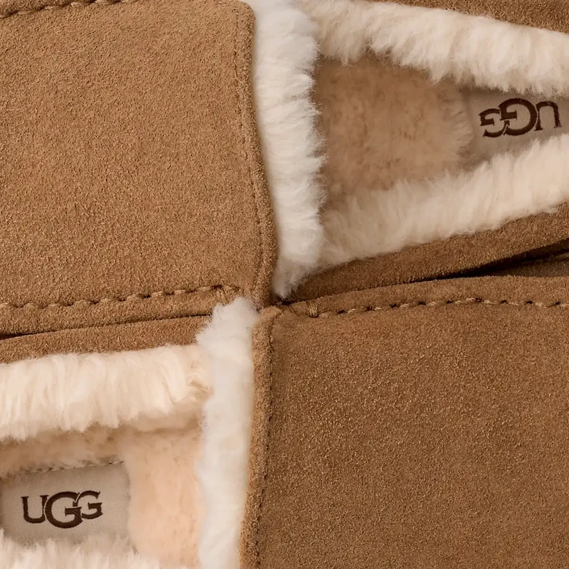 UGG 1101110 Ascot CHE