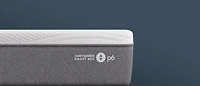 p6 mattress