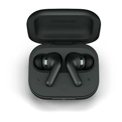 Motorola moto buds+