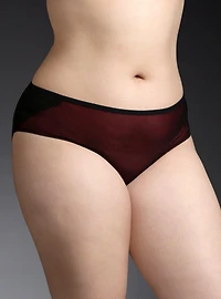 Cage Back Mesh Hipster Panty