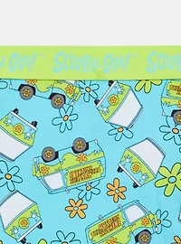 Scooby Doo Mid-Rise Cotton Hipster Panty