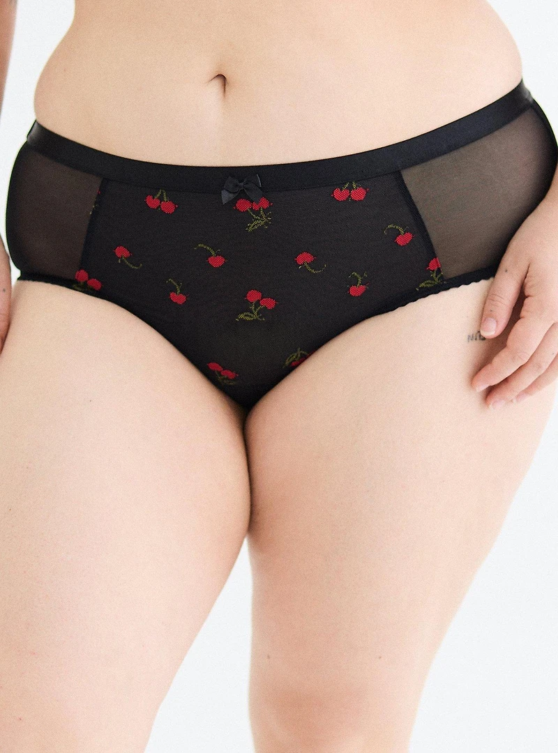Mesh Mid-Rise Embroidered Cheeky Panty