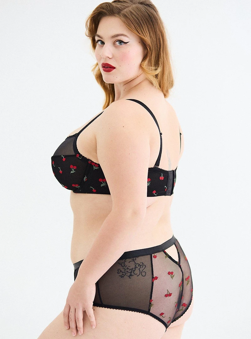 Mesh Mid-Rise Embroidered Cheeky Panty