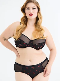 Mesh Mid-Rise Embroidered Cheeky Panty