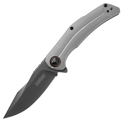 Kershaw Believer Spring Assisted Knife Gray Stainless Steel [3.25" Black 8Cr13MoV] Clip Point 2070