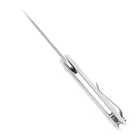 Kizer Lieb Manual Knife Liner Lock OD Green G-10 [2.375" Satin N690] Wharncliffe V2541N1