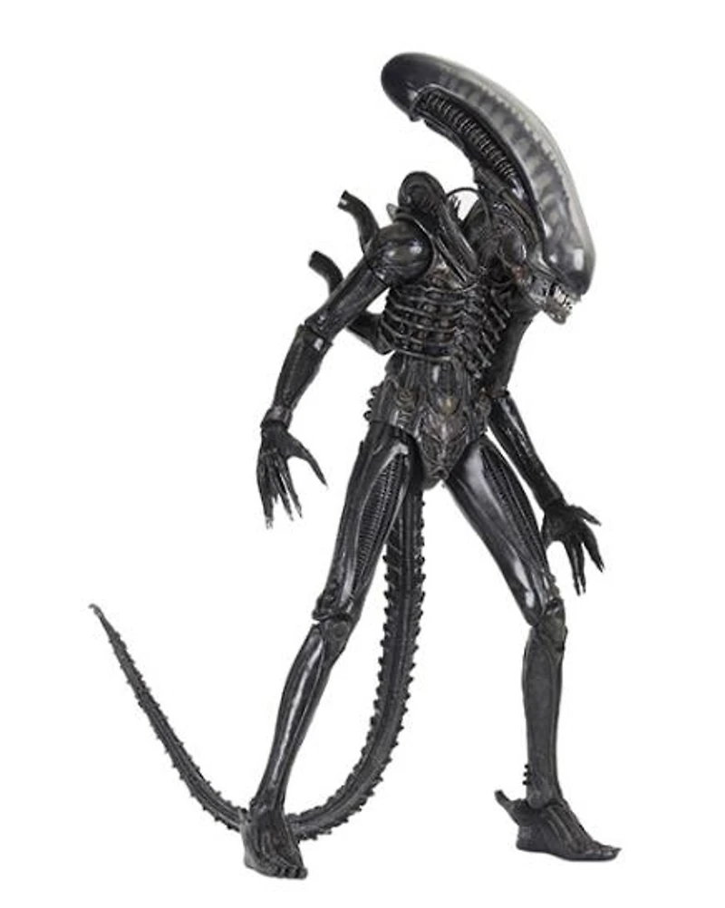 Figure - Alien - 1/4 Scale Action Figure [40th Anniversary]