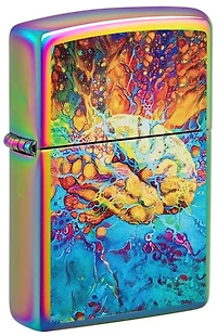 Psychedelic Brain (Spectrum) Zippo