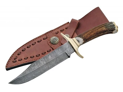 Damascus Brass Guard Bowie Stag Handle Fixed Blade (11" Overall)