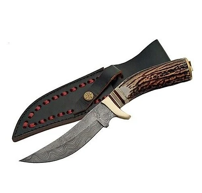 Damascus Mountain Hunter Stag Handle Fixed Blade (10" Overall)