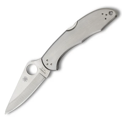 Spyderco Delica Folding Knife LockBack Gray Stainless Steel [2.875" Satin VG-10] C11P