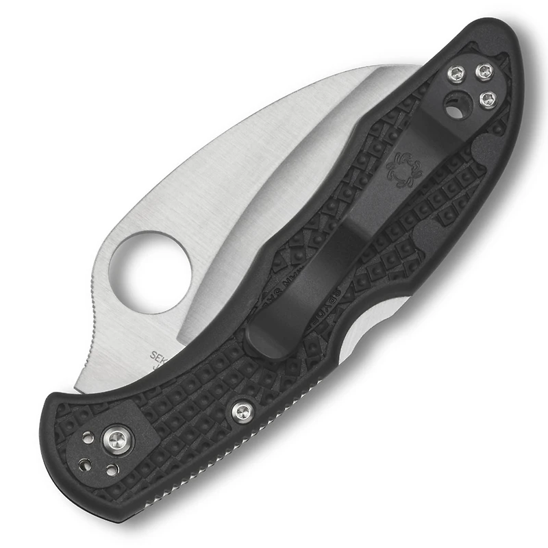 Spyderco Tasman Salt 2 Folding Knife Lockback Black FRN [2.80" Satin H1] C106PBK2