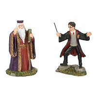Warner Bros Harry Potter And The Headmaster Mini Figure