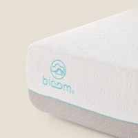 Matelas Bloom Cloud