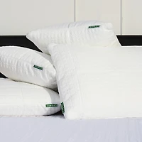 Oreiller Simba® Green