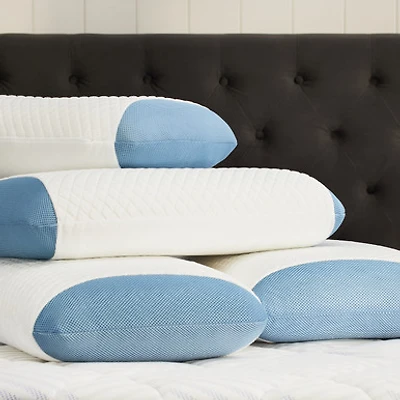 Oreiller de corps Polar Tropic®