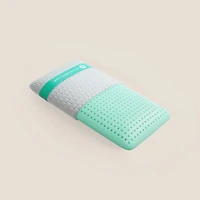 Oreiller Blu Sleep Bio Aloe