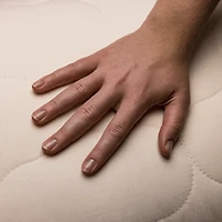 Oreiller en laine Ultimate latex Natura